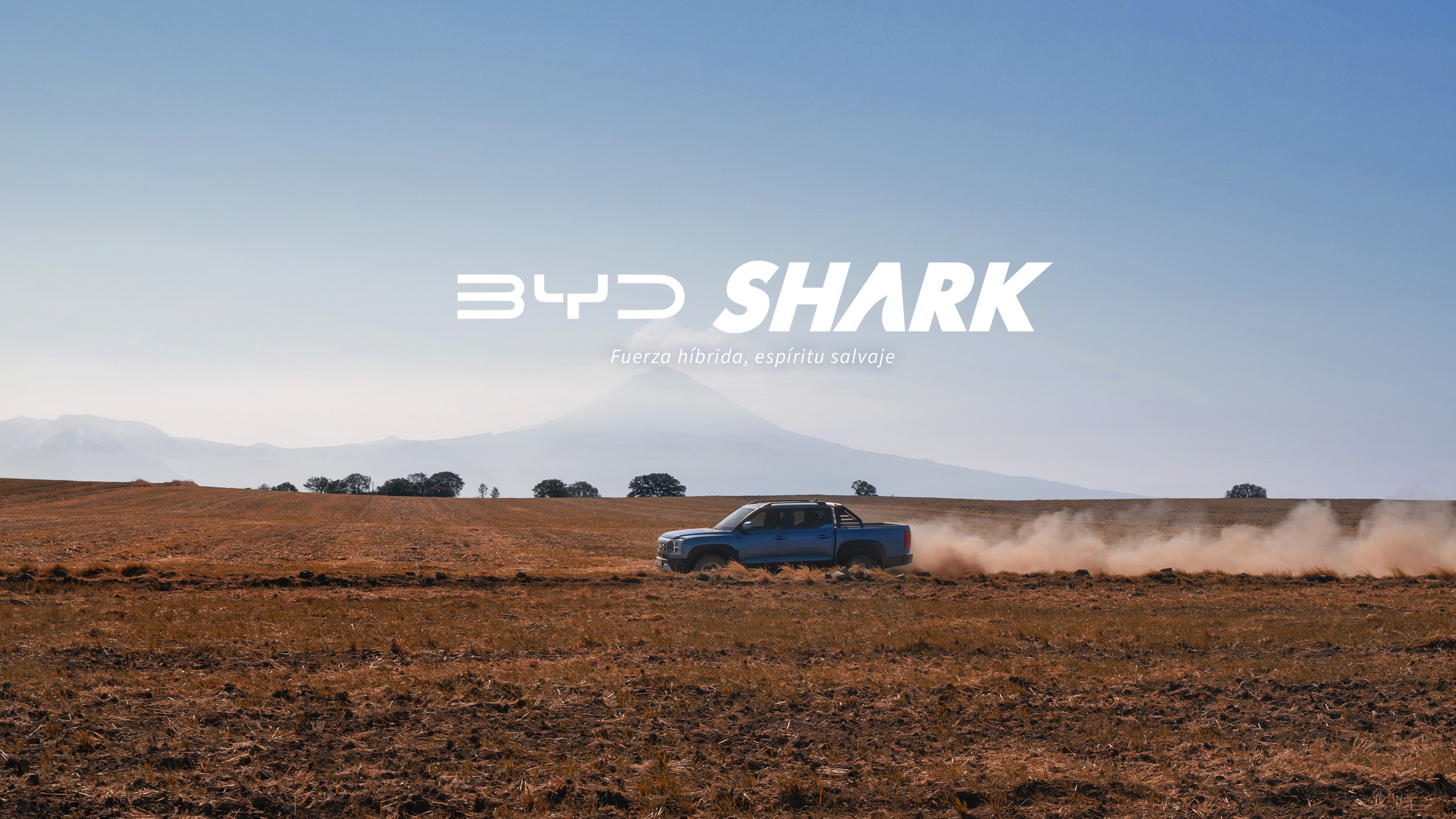 BYD SHARK BANNER 1
